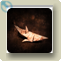 bronze shark